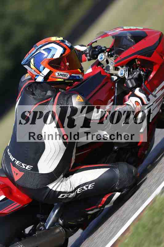 /47 12.08.2025 PADDYS-RACES-DAYS ADR/Sport-Profi/833